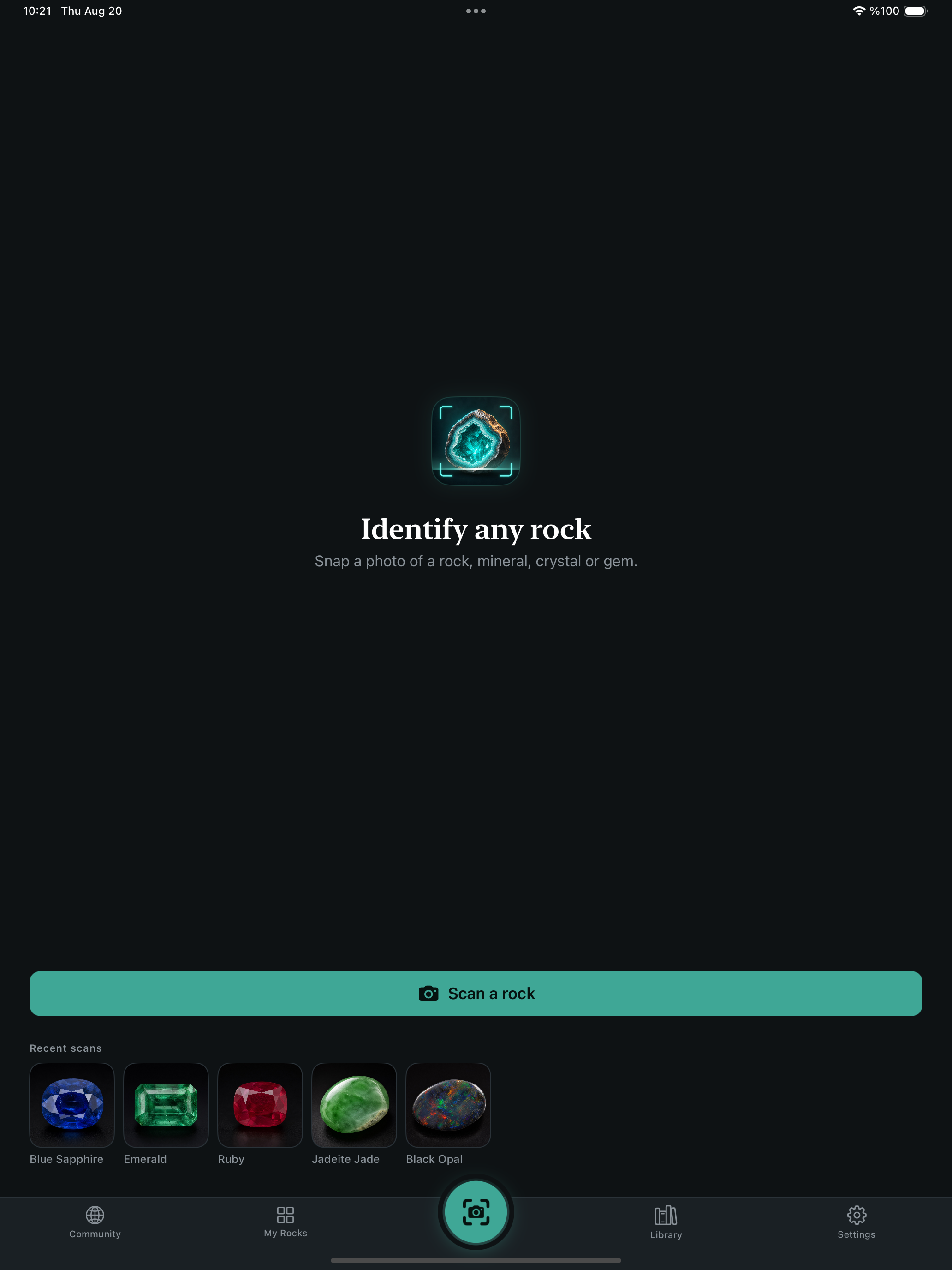 La vostra col·lecció d'un cop d'ull — Rock Identifier iPad